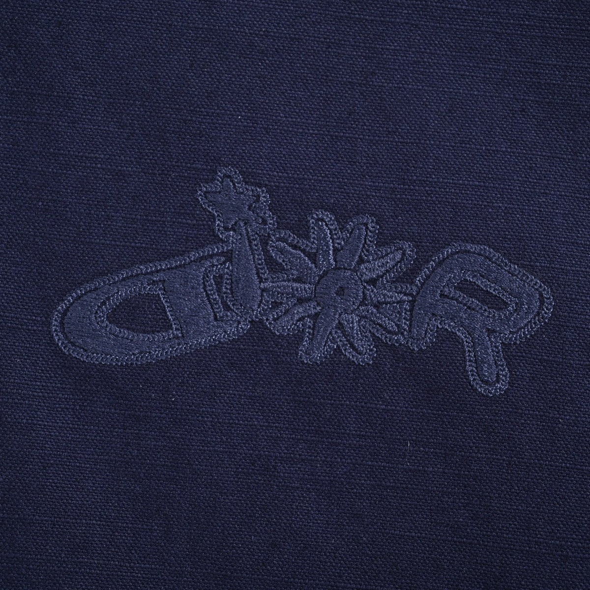 Dior 25FW Embroidered-Emblem Hooded Zip Jacket in Navy
